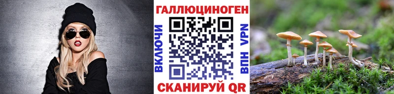 Галлюциногенные грибы Cubensis  Купить где  Тайшет 