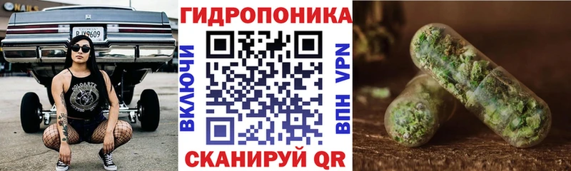Купить закладки  Тайшет  Канабис OG Kush 